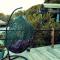 Wag Hill Lodge & Spa