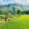Du Gia Field View Homestay - Làng Cac
