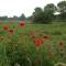 Bed and Breakfast Markdal