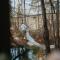 Waterfront Treehouse in a Magical Forest - Waller