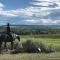 Rocky Mountain View Bed & Breakfast