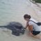 Bird Beak Beach