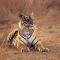 The Oberoi Vanyavilas Wildlife Resort, Ranthambhore