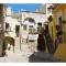 Casa Farella B&B in mini Apartments Altamura x Matera