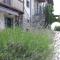 Boutique Hotel Dvor