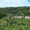 Leisure Homestay - Pool, Boating, Zipline, Home Food, Estate