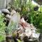 Shirley's Cottage - Pamilacan Island - Baclayon