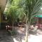 Amarrosi Buffalo-One Bedroom apartment, Mtwapa