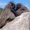 Chillilabombwe - Pringle Bay