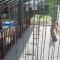 3 Bedrooms Villa with Private Pool - Port Dickson