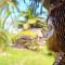 KINTANA LODGE