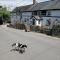 1 Bed cottage The Stable at Llanrhidian Gower with sofa bed for additional guests - Swansea