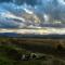 Namakai.tinyhouse, minimalism in a magic place