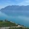 Panoramic Room in the vineyard,stunning views of lake and Alps - Puidoux