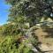 Panoramic Room in the vineyard,stunning views of lake and Alps - Puidoux