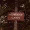 Denali Wild Stay - Muskrat cabin, private, free wifi, free parking, sleep 4