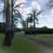 Villa Jouanacaera