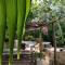 Casa Tzalam Tulum selva