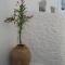 Chora House, by Amorgos Holiday Homes