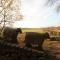 Chapel Cottage - Barnard Castle