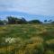 Tsitsikamma on Sea Self-catering Cottages