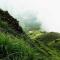 Puzhayoram home stay, Palakkuli, Mananthavadi wayanad kerala