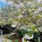 Quarryman Cottage @ 102