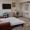 Hotel Roman by Dumbrava Business Resort - 罗曼
