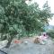 Villa Athina