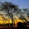 Unyati Safari Lodge - Hectorspruit