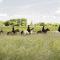 Tihuse Horsefarm B&B