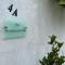 Studio flat in the heart of Hampstead, London - 伦敦