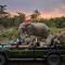 Royal Malewane - Thornybush Game Reserve