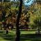 Fairway Apartments Unit 1 - Twain Harte