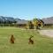 Hanmer High Country Views - Hanmer Springs