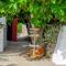 Menorca Agroturismo Llimpet