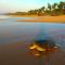 Sleeping Elephant Beach Resort