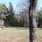 Al's Hideaway Cabin and RV Space, LLC - Pipe Creek