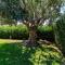 Patio Relax - 200m from beach - Villasimius