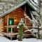 Willow Cabin