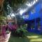 Charming blue house with kitchen parking and garden - Canoa Quebrada