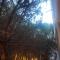 Pine Apartment 2 plus 1