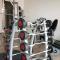 Hermoso depa. wifi, gimnasio, parking. - 墨西哥城 Hermoso depa. wifi, gimnasio, parking. - 墨西哥城