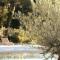 Villa Feijoa en Provence