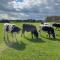 Abbey farm luxury glamping