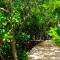 Escape at Nonsuch Bay Antigua - All Inclusive - Adults Only
