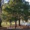 Apartment am Südpark Erfurt - inkl Garten mit Sitzlounge - zentrumsnah