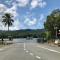 Daintree Siesta