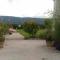 Gite LE PETIT LUBERON COQUELICOT