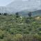 Los Quillayes
